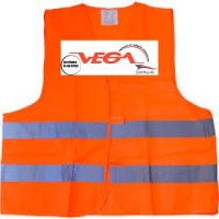 Vesta